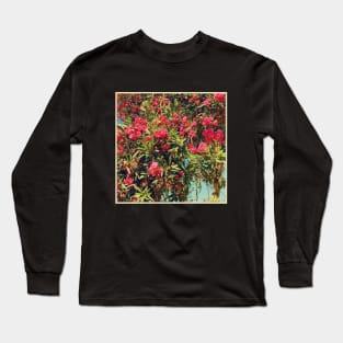 Pretty Pink Flowers Photography design with blue sky nature lovers Long Sleeve T-Shirt